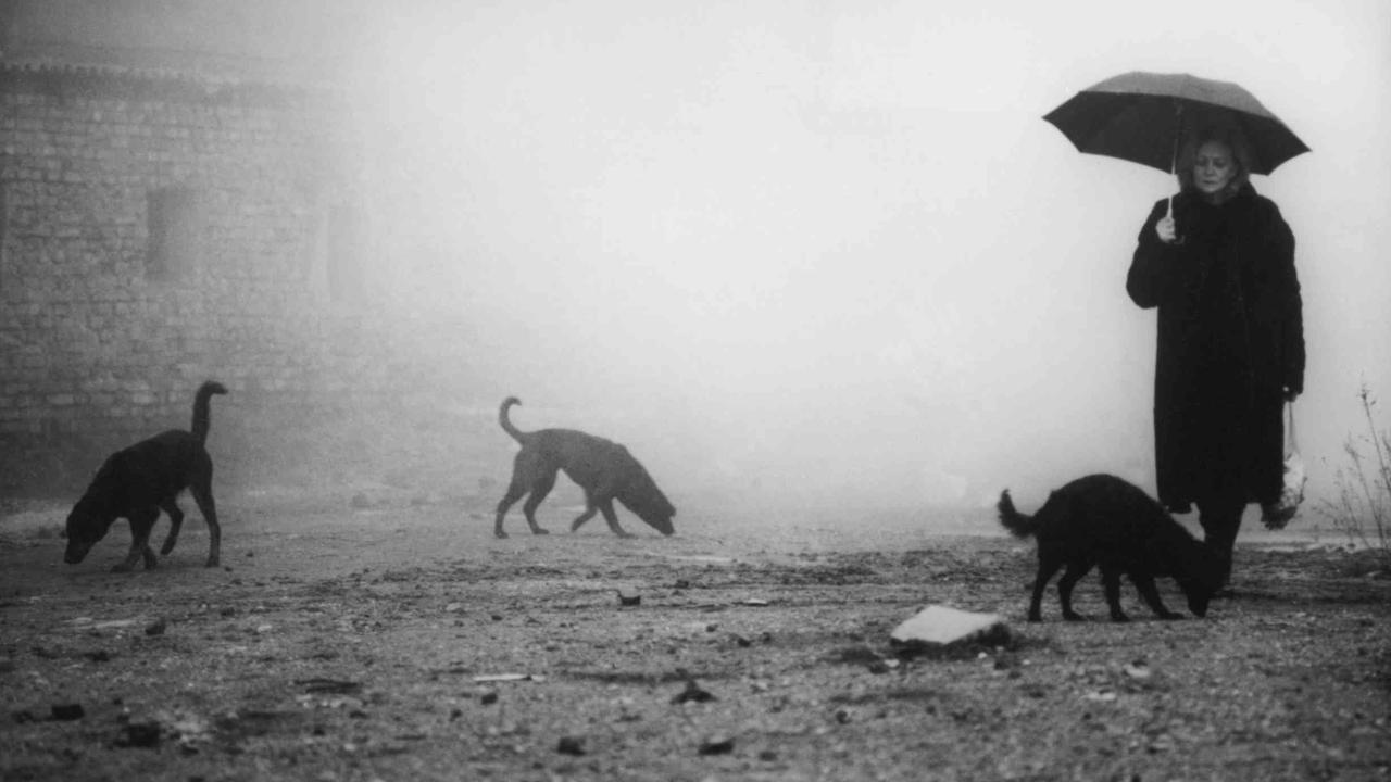 Kahrozat / Damnation (1988) ve Hayvanlaşmak